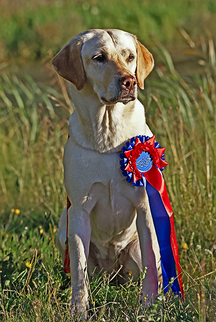 Korall fick sitt Championat 120828