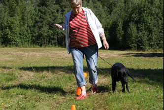 Gunnel går med Argus, som har fått nos på något...