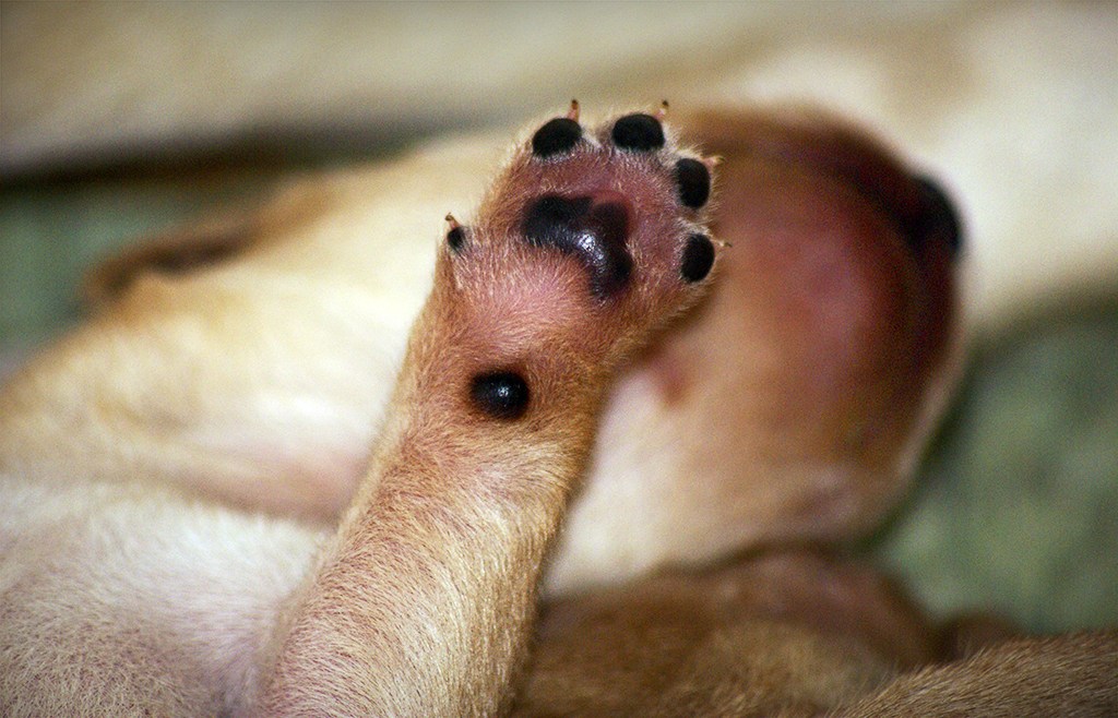 High five till er alla
