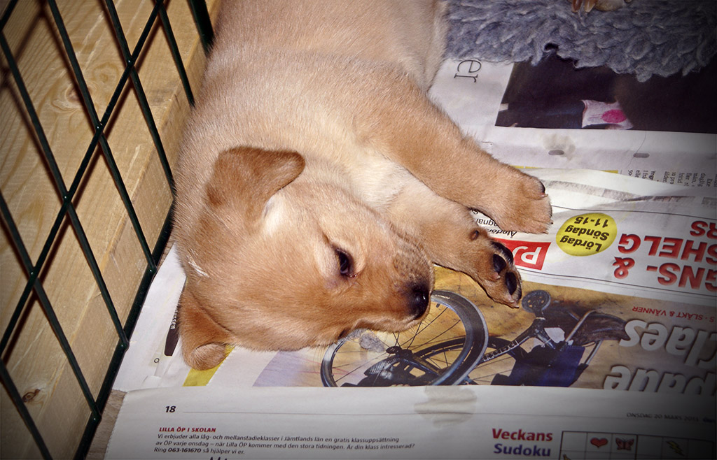 Tar nog en powernap