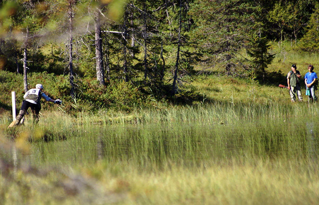 Sänder Korall på en vattendirigering. Här gällde det att inte hunden gick mot de tidigare markeringarna utan hunden skulle dirigeras på vatten.